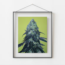 Load image into Gallery viewer, Animal Face 8x10 print