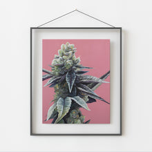 Load image into Gallery viewer, Dosidos 8x10 print