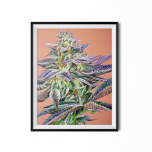 Load image into Gallery viewer, Mandain Cookies 18x24 Poster