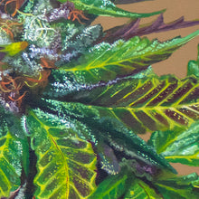 Load image into Gallery viewer, Mendo Breath Original Painting