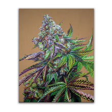 Load image into Gallery viewer, Mendo Breath Original Painting