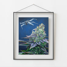 Load image into Gallery viewer, Skywalker OG 8x10 print