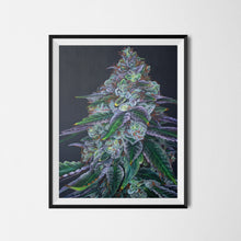Load image into Gallery viewer, Sour Diesel 18"x24" Poster