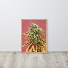 Load image into Gallery viewer, Gorilla Zkittlez framed poster - red oak frame