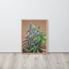 Load image into Gallery viewer, Mendo Breath framed poster - red oak frame
