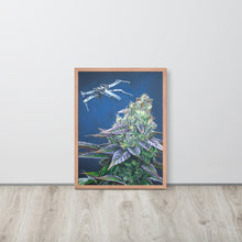 Load image into Gallery viewer, Skywalker OG framed poster - red oak frame