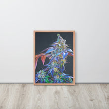 Load image into Gallery viewer, FRAMED Kahlifa Kush 18"x24" Poster