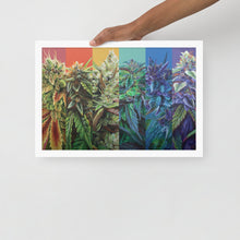 Load image into Gallery viewer, STRainbow framed 18x12 poster - white frame