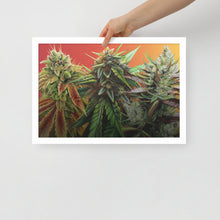 Load image into Gallery viewer, Framed 18x12 FIRE poster