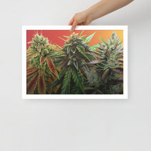 Load image into Gallery viewer, FIRE framed 18x12 poster - white frame