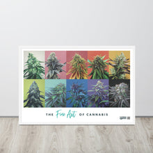 Load image into Gallery viewer, 10 Strain framed 36x24 poster - white frame