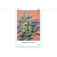 Load image into Gallery viewer, Collectible Mandarin Cookies Poster