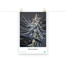 Load image into Gallery viewer, Collectible White Devil Poster