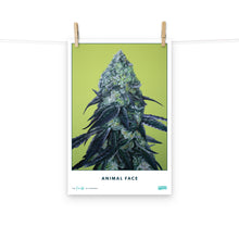 Load image into Gallery viewer, STRAIN NAME Animal Face Poster