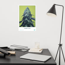 Load image into Gallery viewer, STRAIN NAME Animal Face Poster