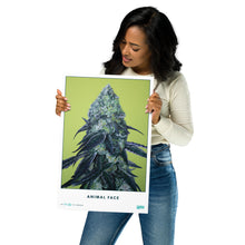 Load image into Gallery viewer, STRAIN NAME Animal Face Poster