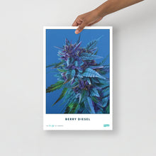 Load image into Gallery viewer, STRAIN NAME Berry Diesel Poster