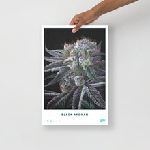 Load image into Gallery viewer, STRAIN NAME Black Afghan Poster