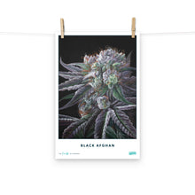 Load image into Gallery viewer, STRAIN NAME Black Afghan Poster