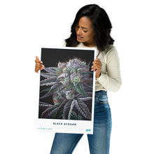 Load image into Gallery viewer, STRAIN NAME Black Afghan Poster