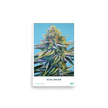 Load image into Gallery viewer, STRAIN NAME Blue Dream Poster