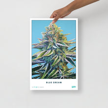 Load image into Gallery viewer, STRAIN NAME Blue Dream Poster