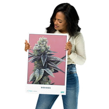 Load image into Gallery viewer, STRAIN NAME Dosidos Poster