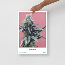 Load image into Gallery viewer, STRAIN NAME Dosidos Poster