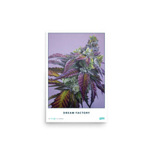 Load image into Gallery viewer, STRAIN NAME Dream Factory Poster