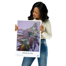 Load image into Gallery viewer, STRAIN NAME Dream Factory Poster