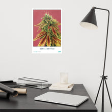 Load image into Gallery viewer, STRAIN NAME Gorilla Zkittlez Poster