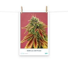 Load image into Gallery viewer, STRAIN NAME Gorilla Zkittlez Poster