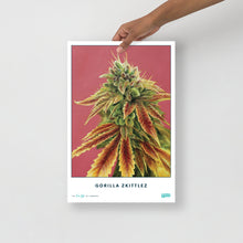 Load image into Gallery viewer, STRAIN NAME Gorilla Zkittlez Poster