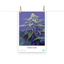Load image into Gallery viewer, STRAIN NAME Purple Haze Poster