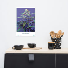 Load image into Gallery viewer, STRAIN NAME Purple Haze Poster