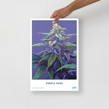 Load image into Gallery viewer, STRAIN NAME Purple Haze Poster