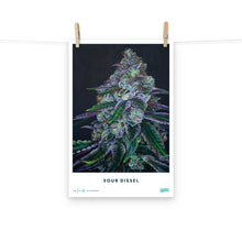 Load image into Gallery viewer, STRAIN NAME Sour Diesel Poster