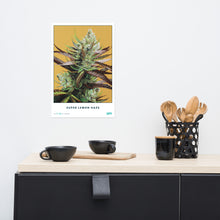 Load image into Gallery viewer, STRAIN NAME Super Lemon Haze Poster