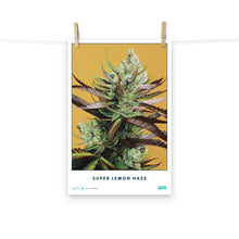 Load image into Gallery viewer, STRAIN NAME Super Lemon Haze Poster