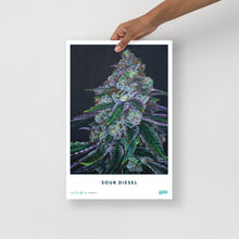Load image into Gallery viewer, STRAIN NAME Sour Diesel Poster