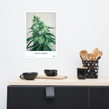 Load image into Gallery viewer, STRAIN NAME White Durban Poster