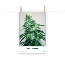 Load image into Gallery viewer, STRAIN NAME White Durban Poster