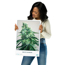 Load image into Gallery viewer, STRAIN NAME White Durban Poster