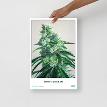 Load image into Gallery viewer, STRAIN NAME White Durban Poster