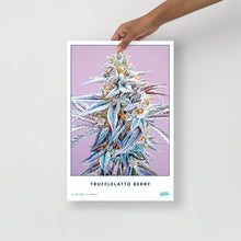 Load image into Gallery viewer, Collectible Trufflelatto Berry Poster