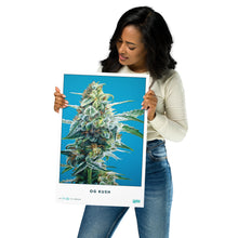 Load image into Gallery viewer, Collectible OG Kush Poster
