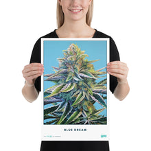 Load image into Gallery viewer, STRAIN NAME Blue Dream Poster