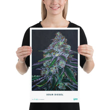Load image into Gallery viewer, STRAIN NAME Sour Diesel Poster