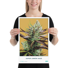 Load image into Gallery viewer, STRAIN NAME Super Lemon Haze Poster