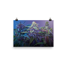 Load image into Gallery viewer, PURPS 18x12 print